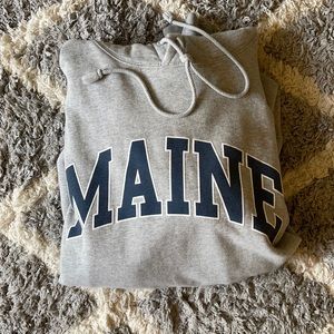 Brandy Melville christy hoodie